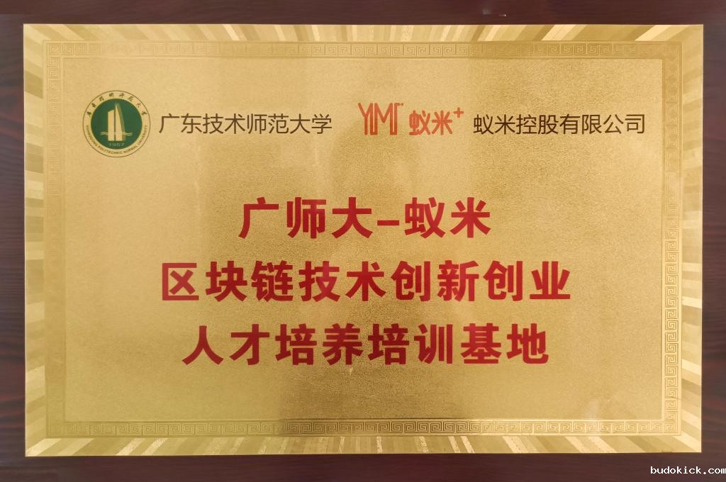广师大蚁米