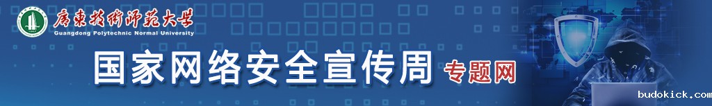 国家网络安全周专题网